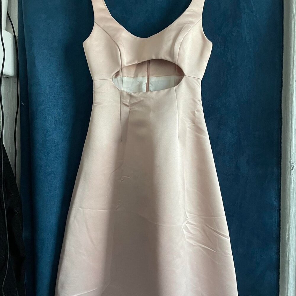 Sandy Liang Jodamo dress
